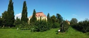 20150814_135039_Pano